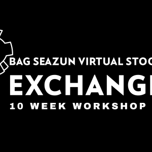 Vitual Stock Exchange 10 Week Workshop